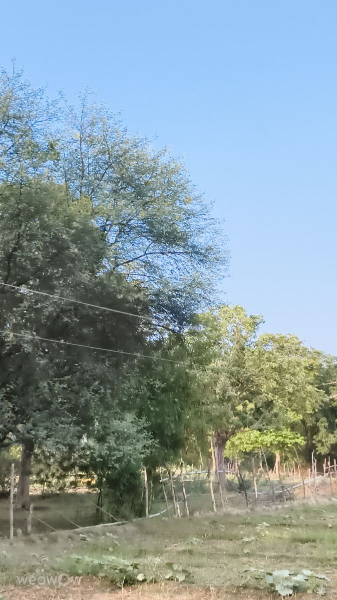 ウッタル・プラデーシュ州の天気写真. Sndpkの美しい写真による天気予報