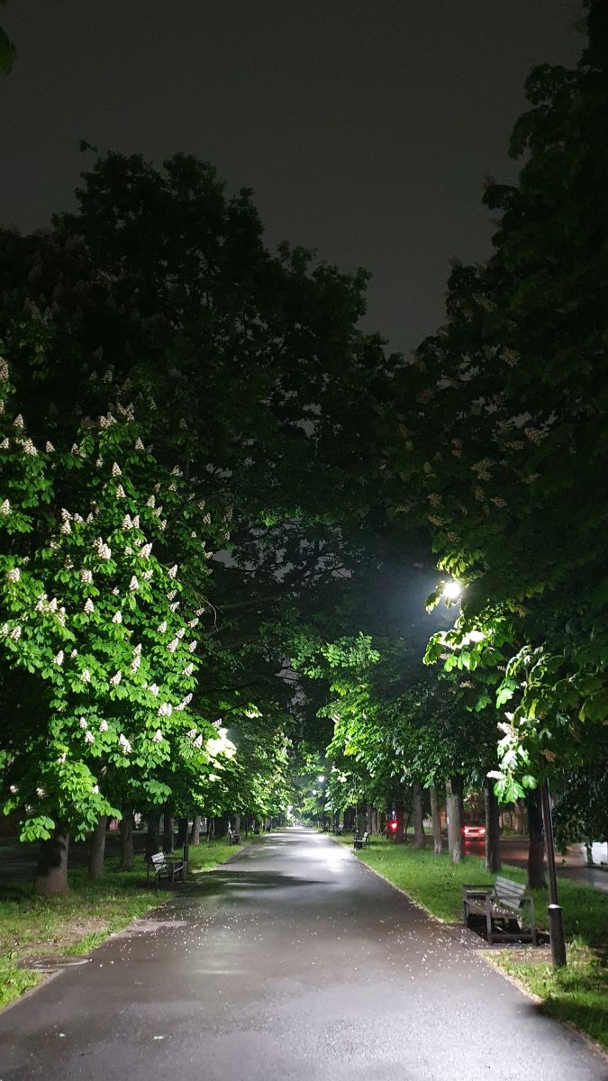 Fotos sobre el clima en Vladicáucaso. Pronósticos del tiempo con hermosas fotos de Ninelle