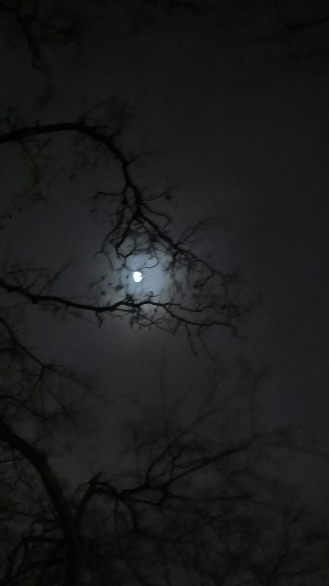 Fotos sobre el clima en București. Pronósticos del tiempo con hermosas fotos de YanBog