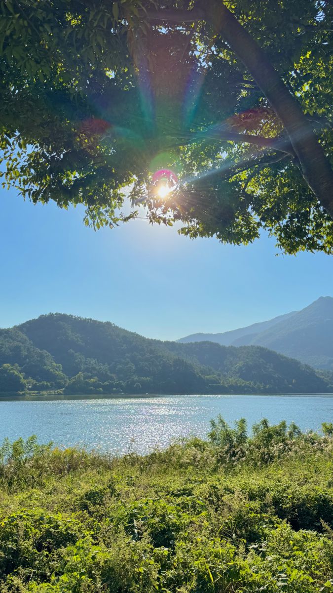 Weather Photos in South Korea. Weather forecasts with beautiful photos by sojeong