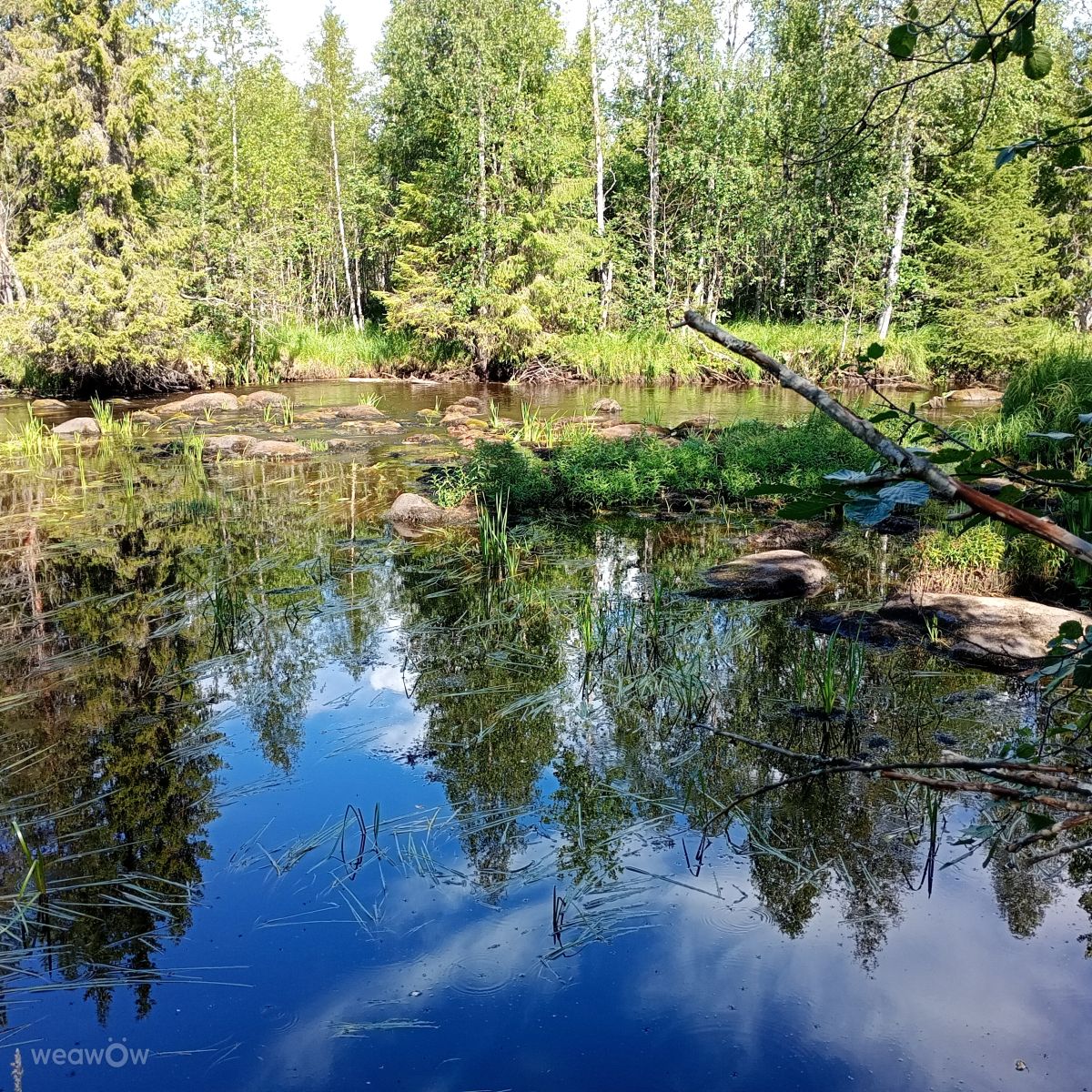 Fotos sobre el clima en Finlandia. Pronósticos del tiempo con hermosas fotos de Juki