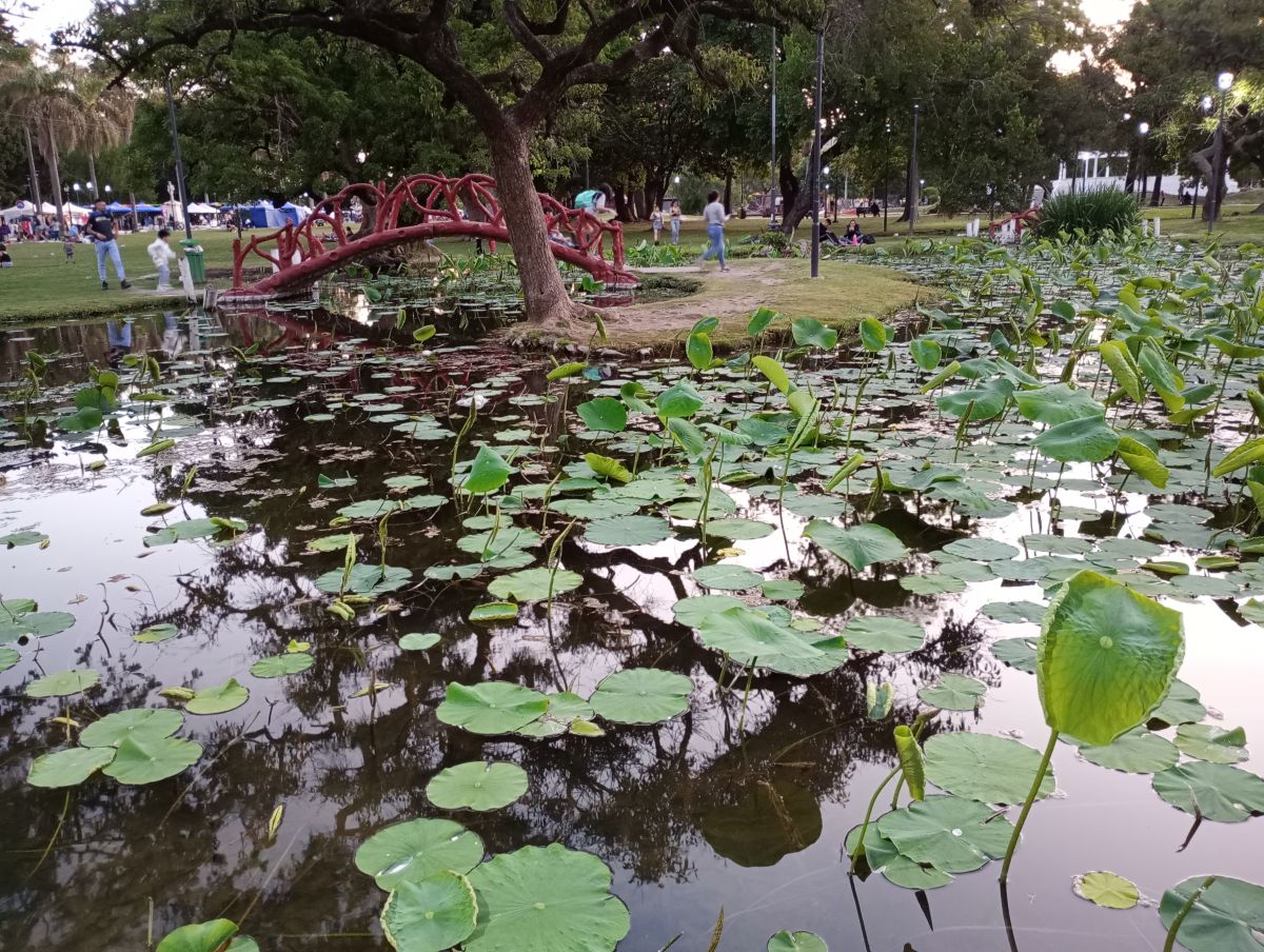 Wetter Photos Buenos Aires. Wettervorhersagen mit schönen Fotos von _Nubes