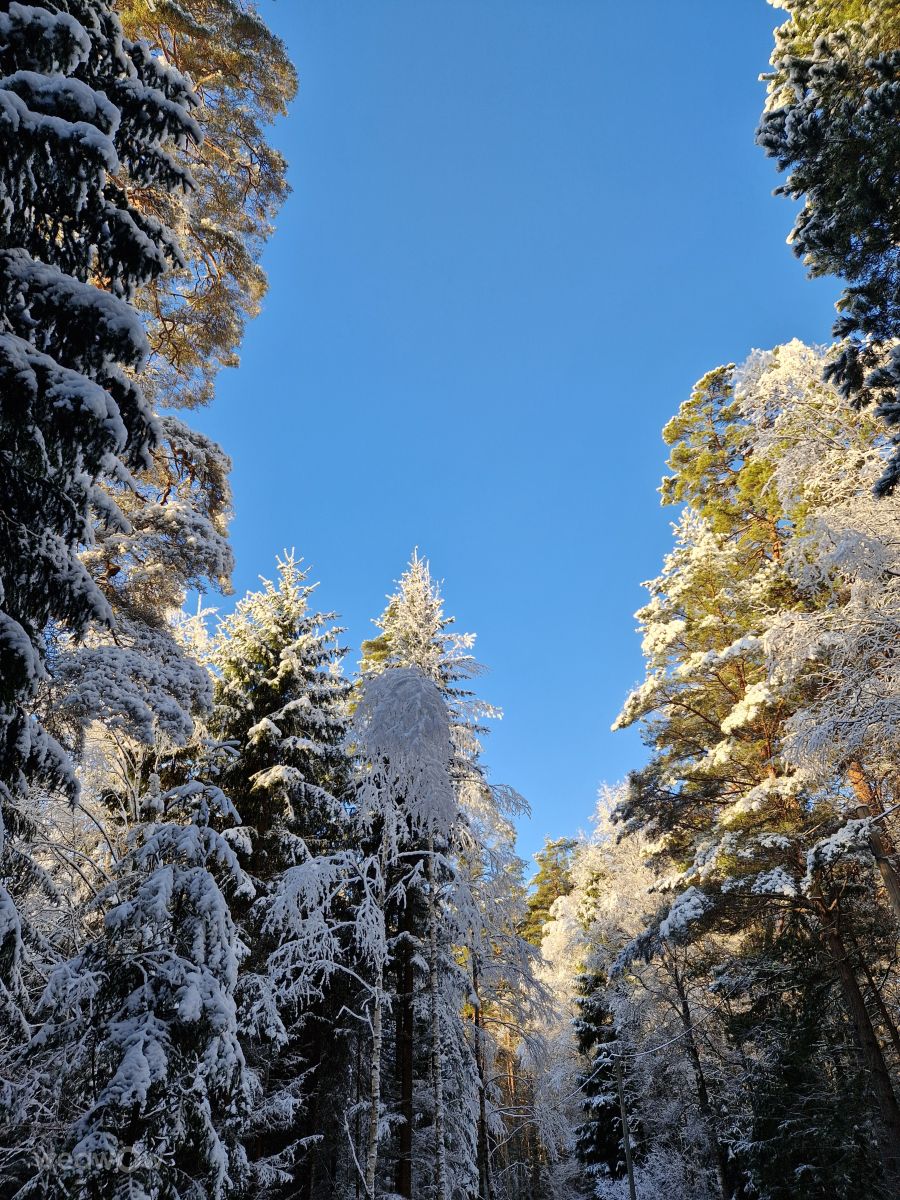 Susanne Sussi Wetterholmの美しい写真による天気予報