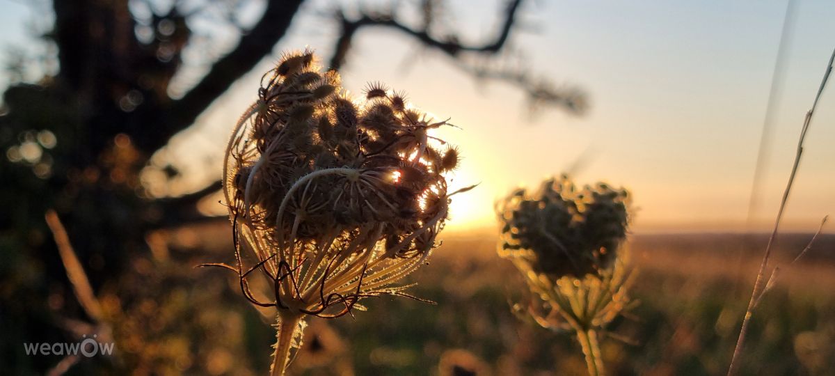 Photographer DaB, Weather Photos in Martin - Weawow