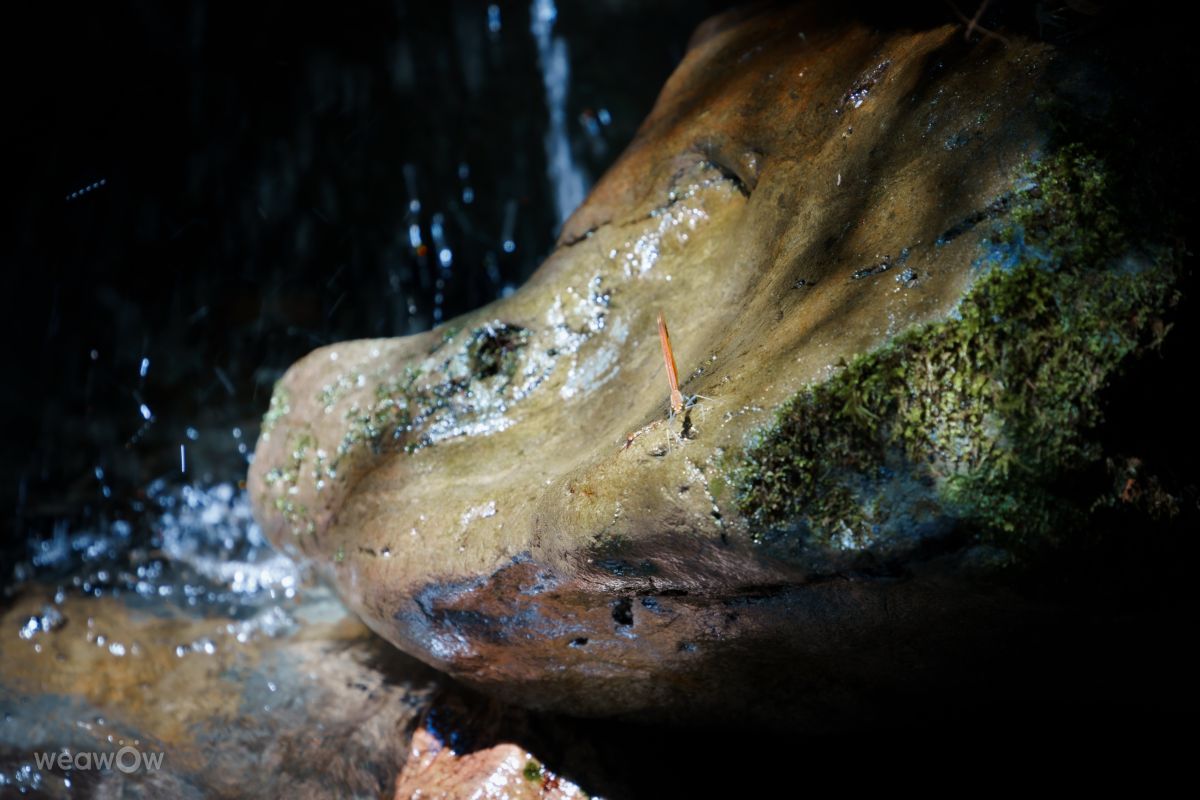 Fotógrafo jimbo3work, Fotos sobre el clima en Kawakami-mura - Weawow
