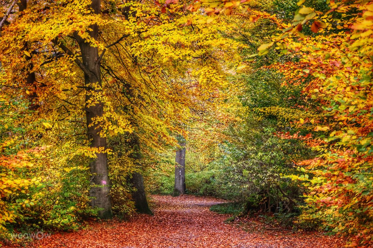 Photographer Lotti5507, Weather Photos in Mittelhöchsten - Weawow