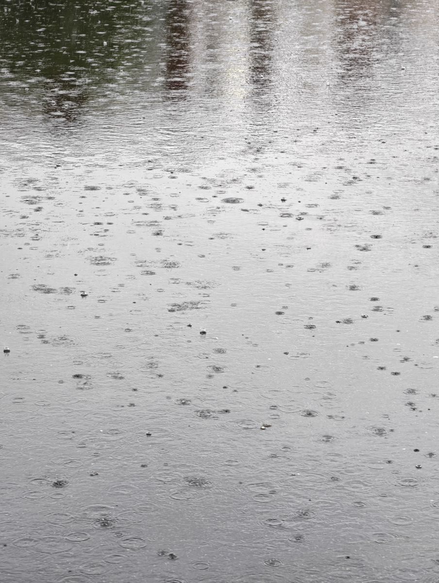 Weather Photos in Lithuania. Weather forecasts with beautiful photos by De-Valua