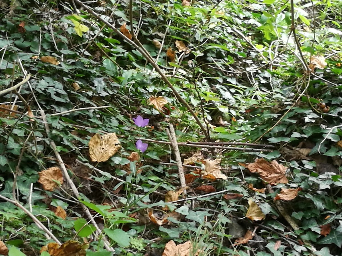 Photos météo à Vadu Crișului. Prévisions météo avec de superbes photos de topi66