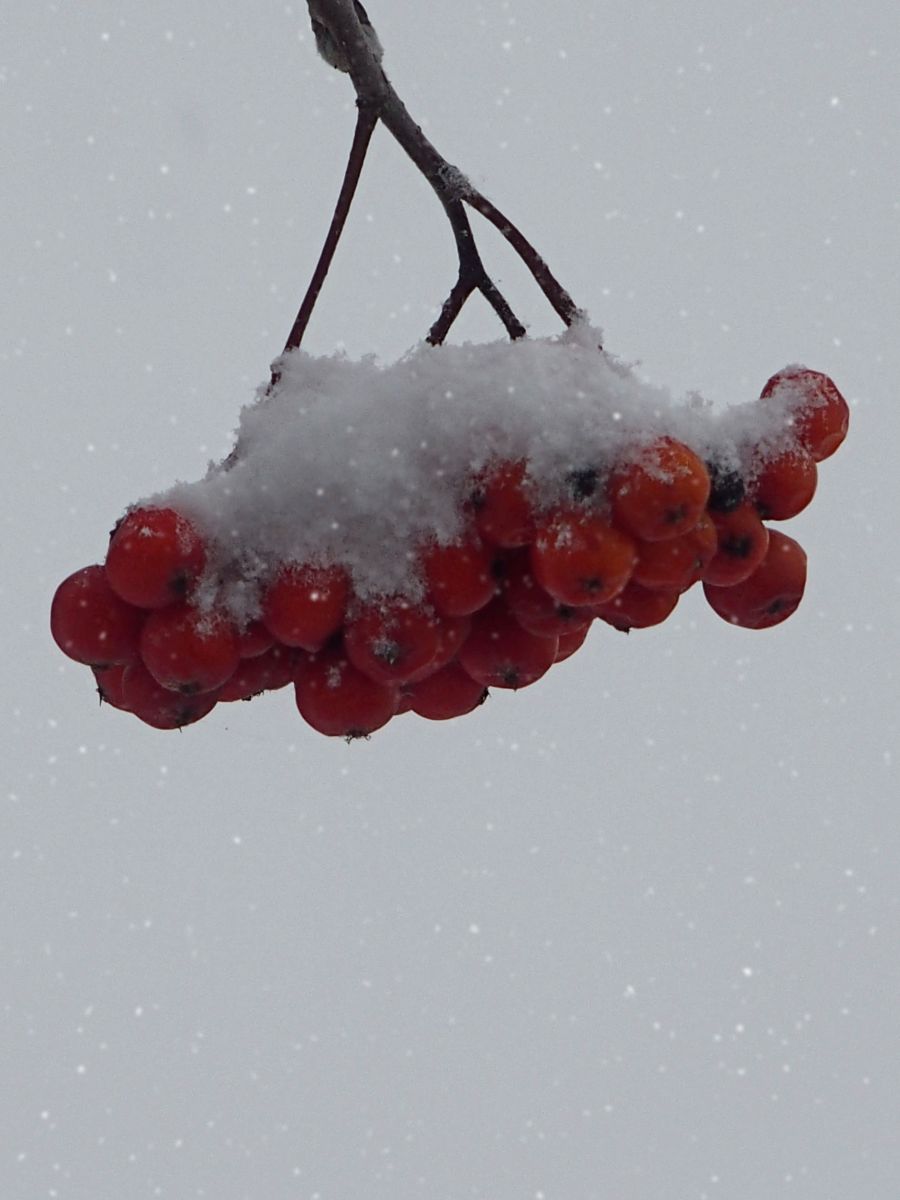 Weather Photos in Úvaly. Weather forecasts with beautiful photos by George Popo