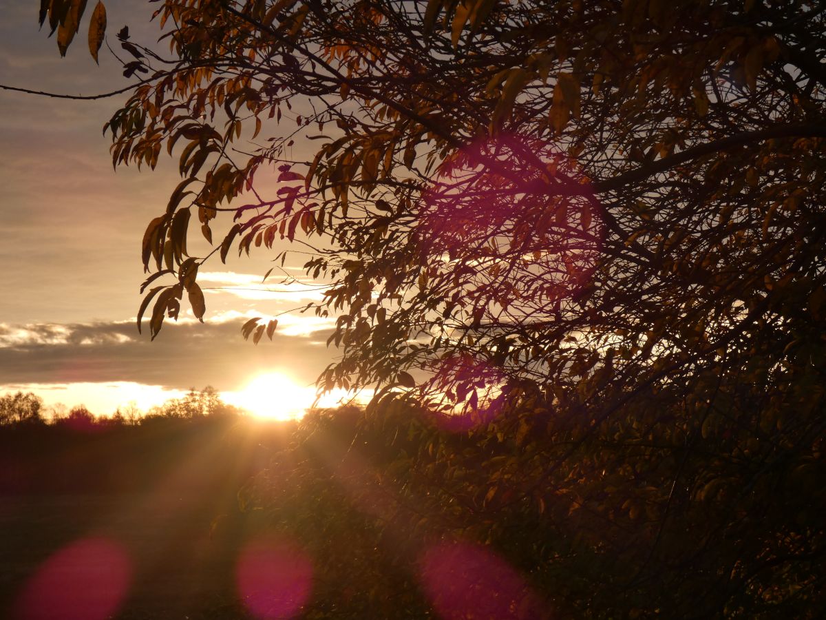 Фотограф fwerner, Фотографии Погоды в Elsfleth - Weawow