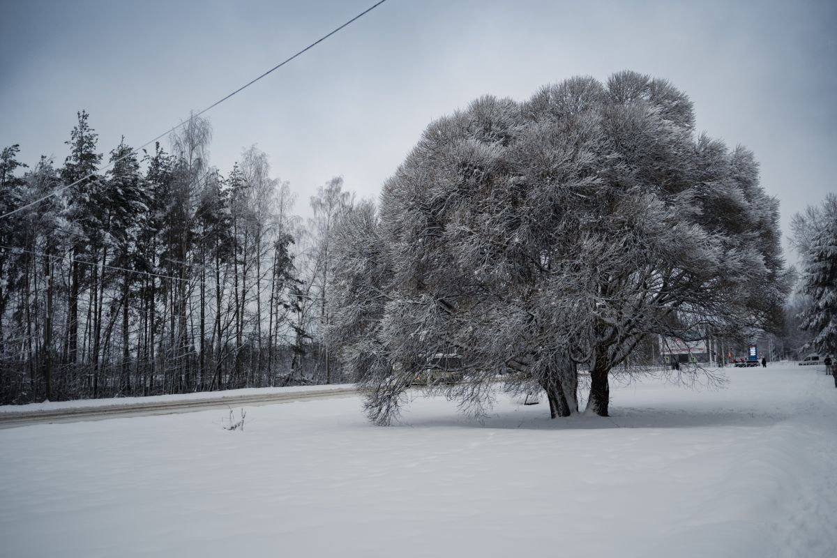 Weather Photos in Kingisepp. Weather forecasts with beautiful photos by DPCYDD