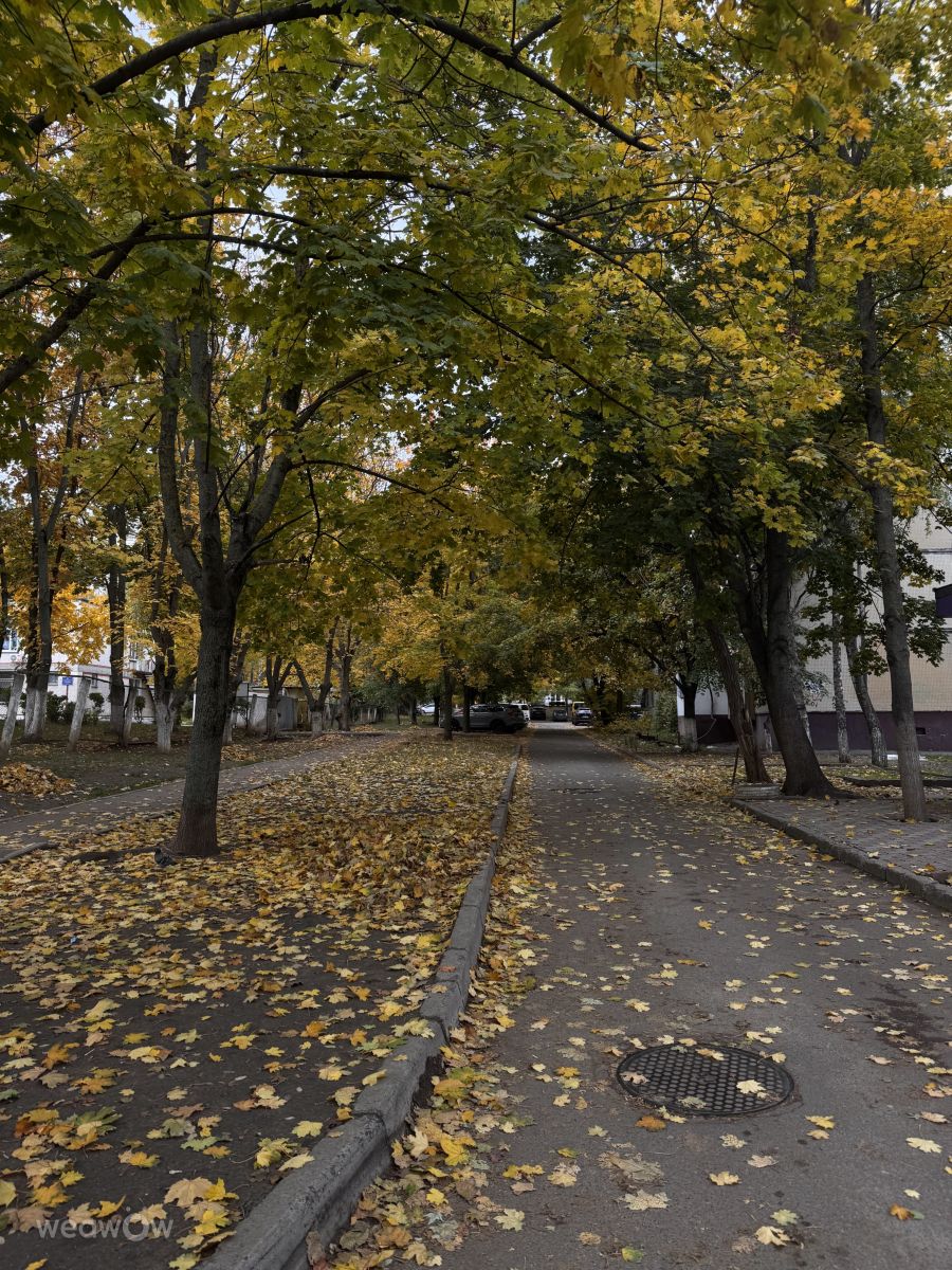 Fotos sobre el clima en Moldavia. Pronósticos del tiempo con hermosas fotos de Sonia