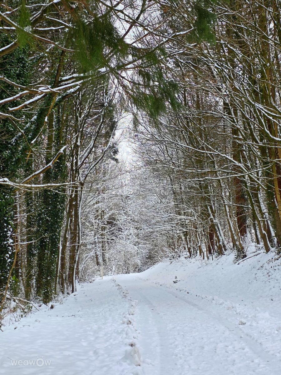 德国的天气照片. 天气预报，带Seni精美的照片