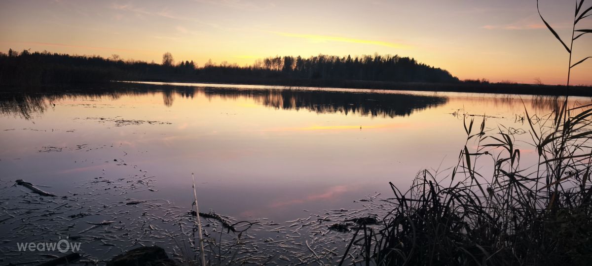 Фотограф Valiukas, Фотографии Погоды в Pievėnai - Weawow