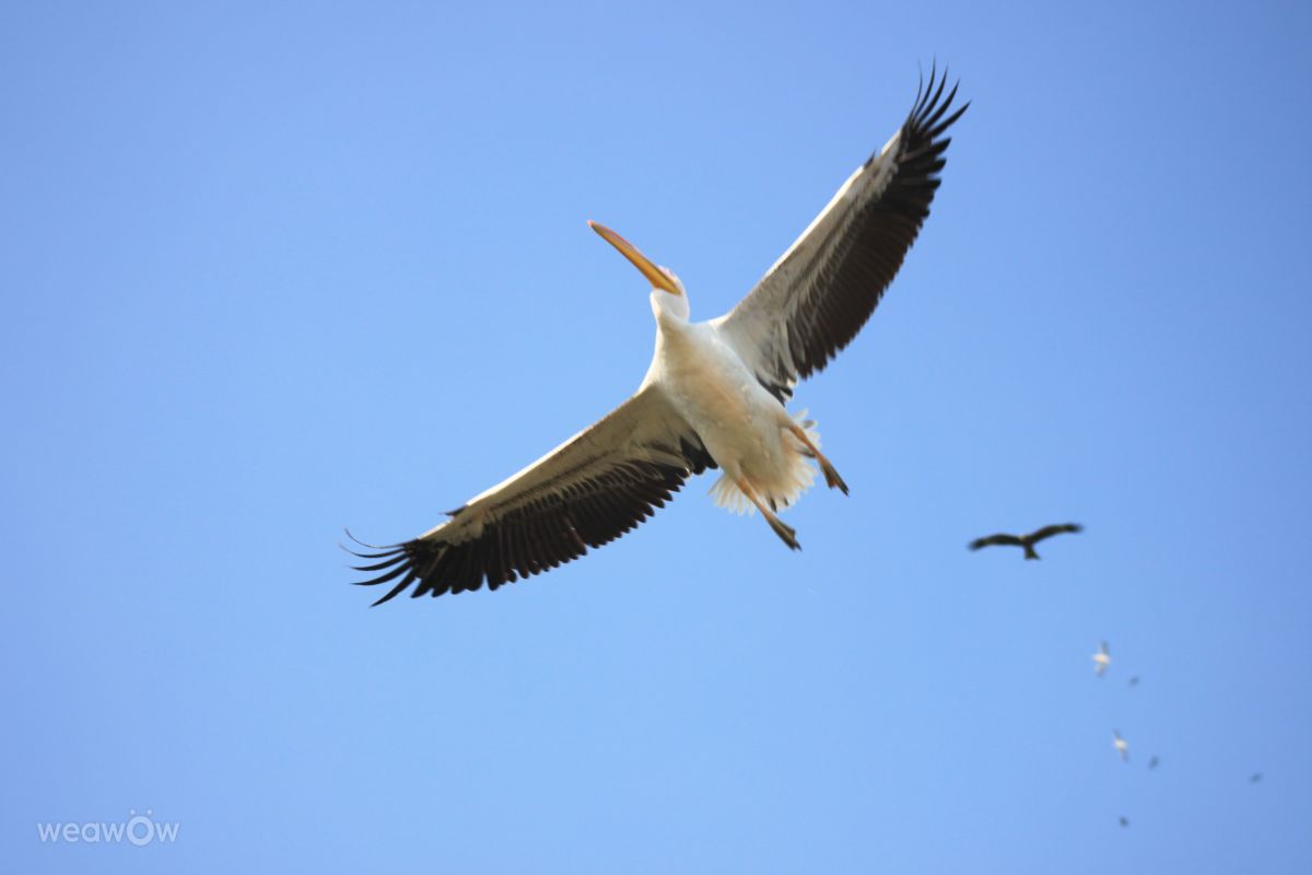 Weather Photos in Delhi. Weather forecasts with beautiful photos by Fotokhan