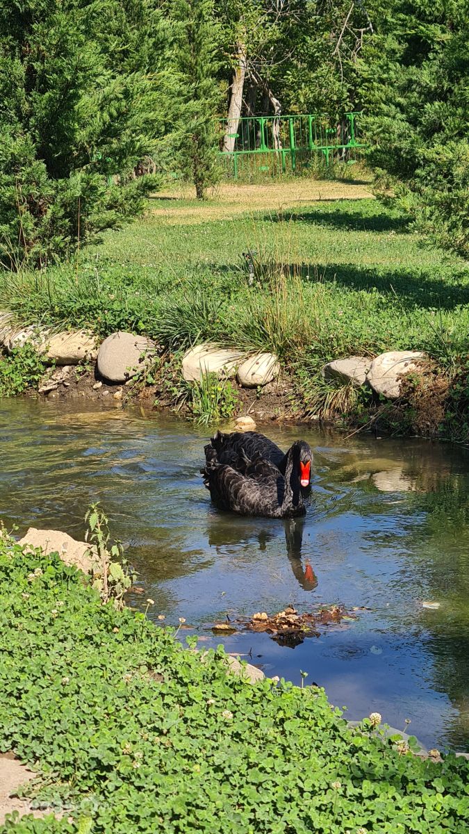 Weather Photos in Azerbaijan. Weather forecasts with beautiful photos by Джамиль