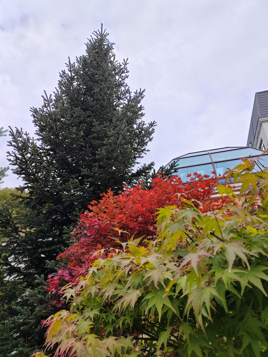Photographer Albert_Smelovtsev, Weather Photos in Roza Khutor - Weawow