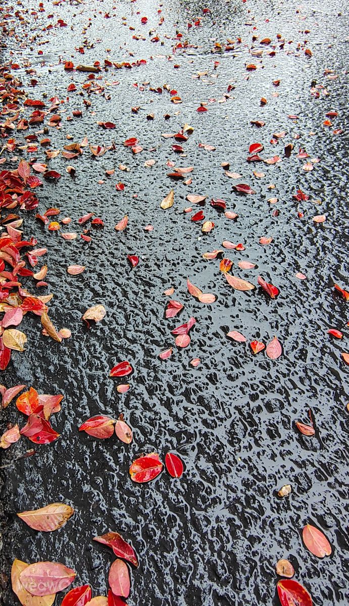 Photograph Ghostroku, Wetter Photos Chico - Weawow