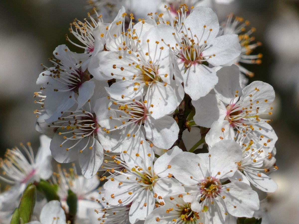 Фотографии Погоды в Ahlhorner Fischteiche. Прогнозы погоды с чудесными фотографиями, сделанными fwerner