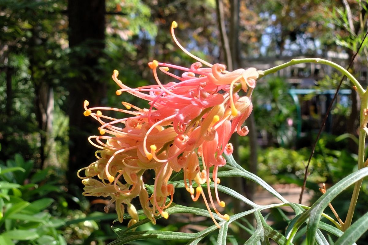 Weather Photos in Hong Kong. Weather forecasts with beautiful photos by Ensign_Lau