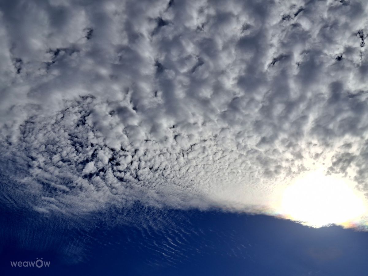 Photographer Wen-ya Huang, Weather Photos in Kaohsiung City - Weawow