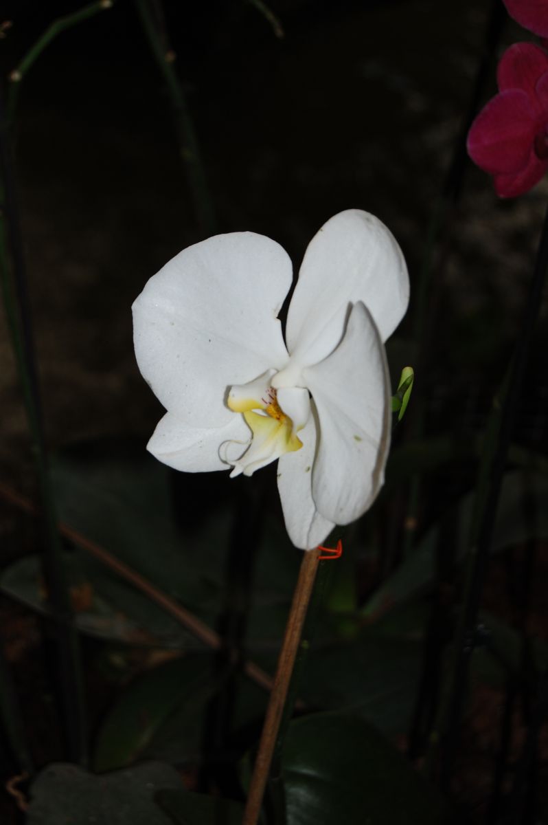 Weather Photos in Palestine. Weather forecasts with beautiful photos by Sviatoslav