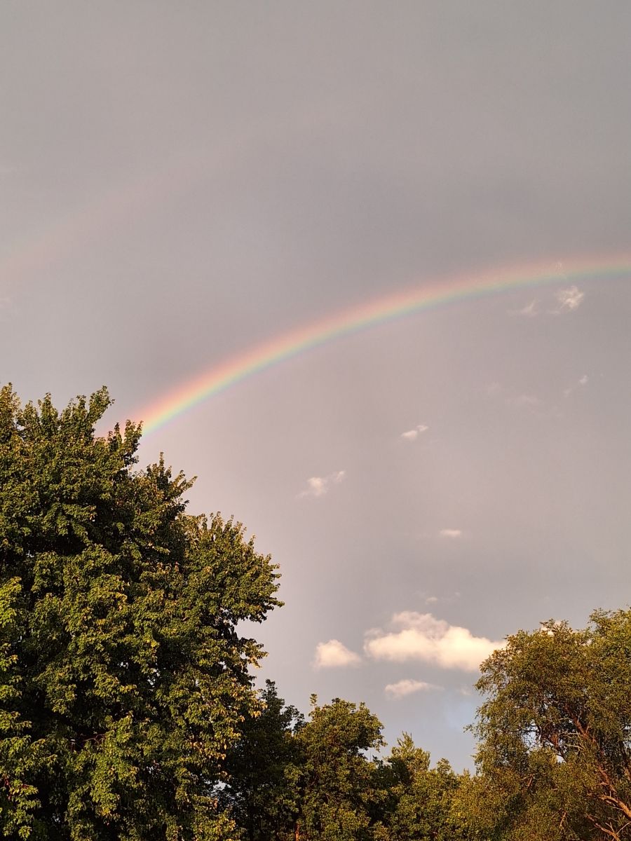 Photographer ccdn0630, Weather Photos in Barrie - Weawow