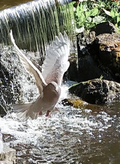 Photographer Olgert, Weather Photos in Rīga - Weawow