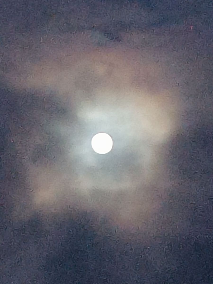 Weather Photos in Hilversum. Weather forecasts with beautiful photos by Vledder