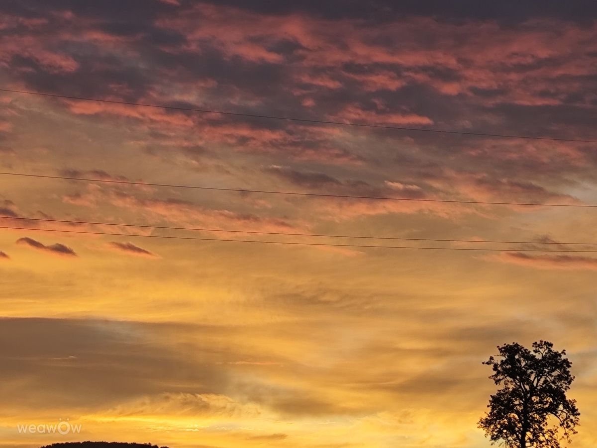 摄影师 Brtd，Allersberg的天气照片 - Weawow