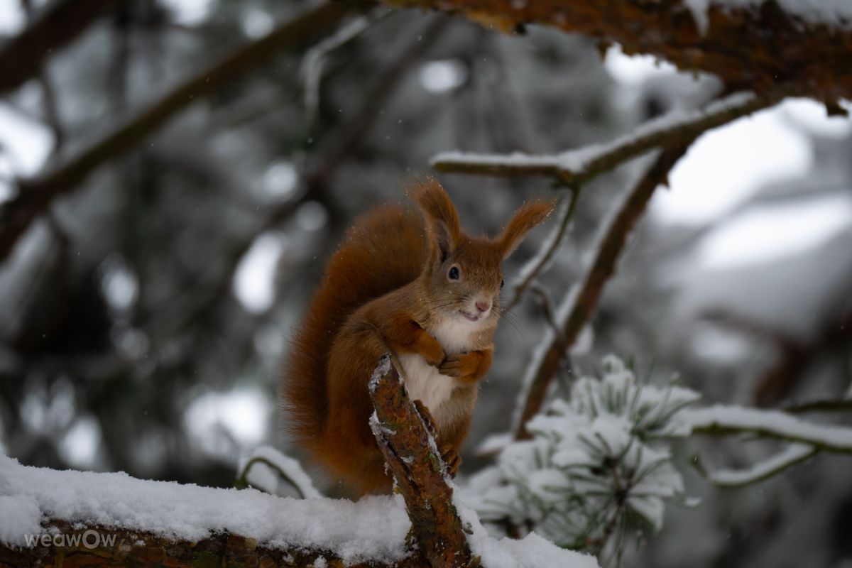 Fotos do tempo em Voivodia da Pequena Polónia. Previsões do tempo com lindas fotos de ooee