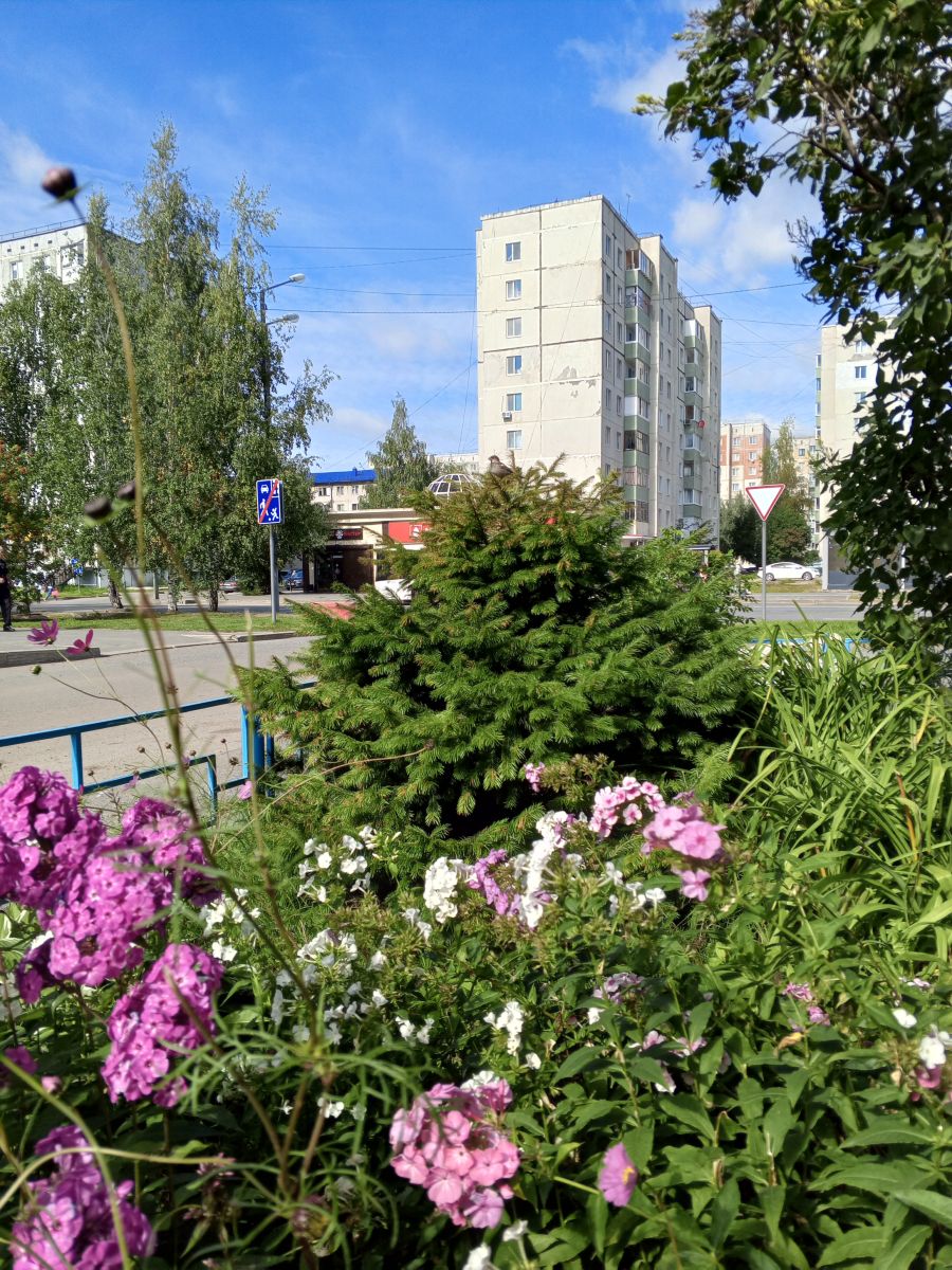 Weather Photos in Tyumen Oblast. Weather forecasts with beautiful photos by Юлдуз Каландарова