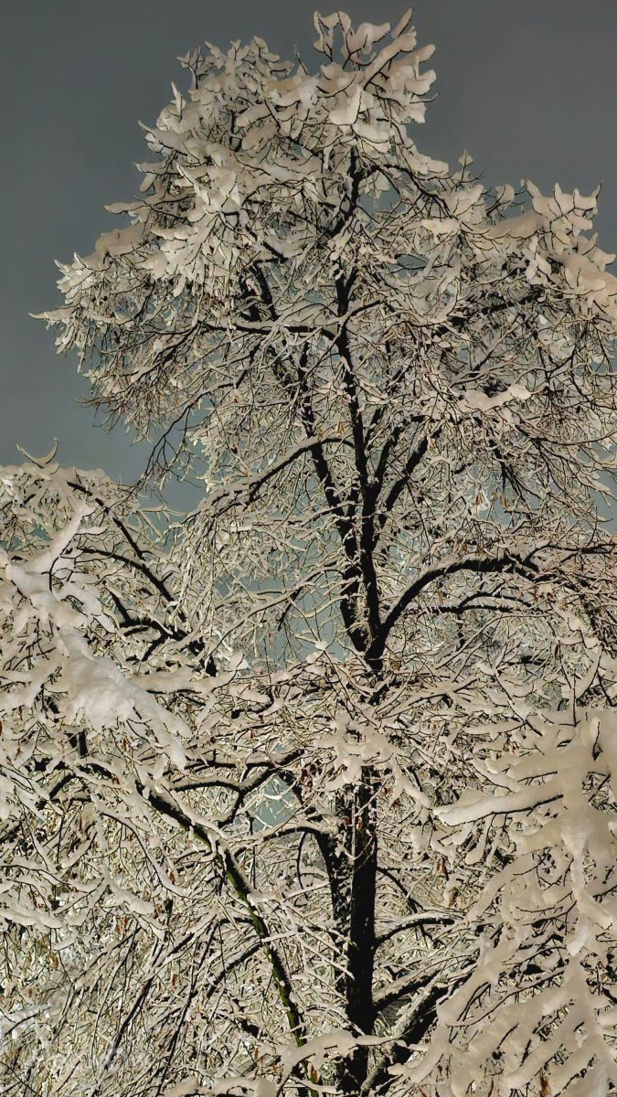 Weather Photos in Bosnia and Herzegovina. Weather forecasts with beautiful photos by MR