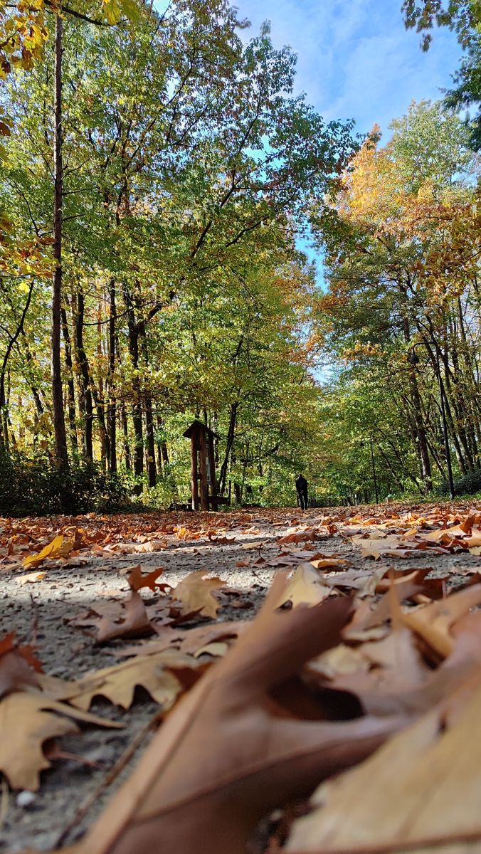Fotógrafo Romek58, Fotos sobre el clima en Wieluń - Weawow