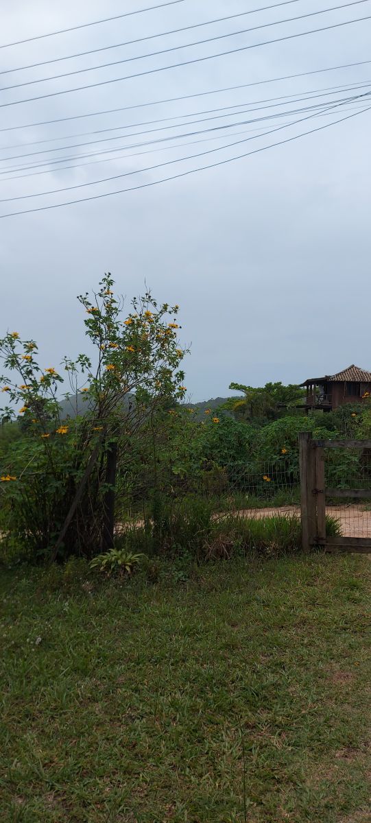 Fotógrafo catiams, Fotos sobre el clima en Praia do Rosa - Weawow