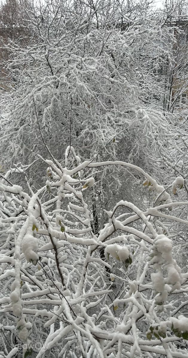 Photos météo à Lviv. Prévisions météo avec de superbes photos de YuriyZakharkiv