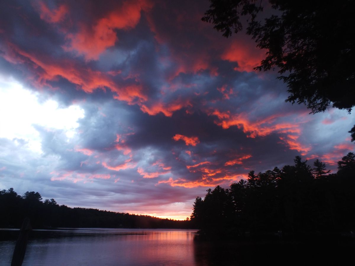 Fotogrāfs Lennard, Laika fotogrāfijas Perkins-sur-le-Lac - Weawow