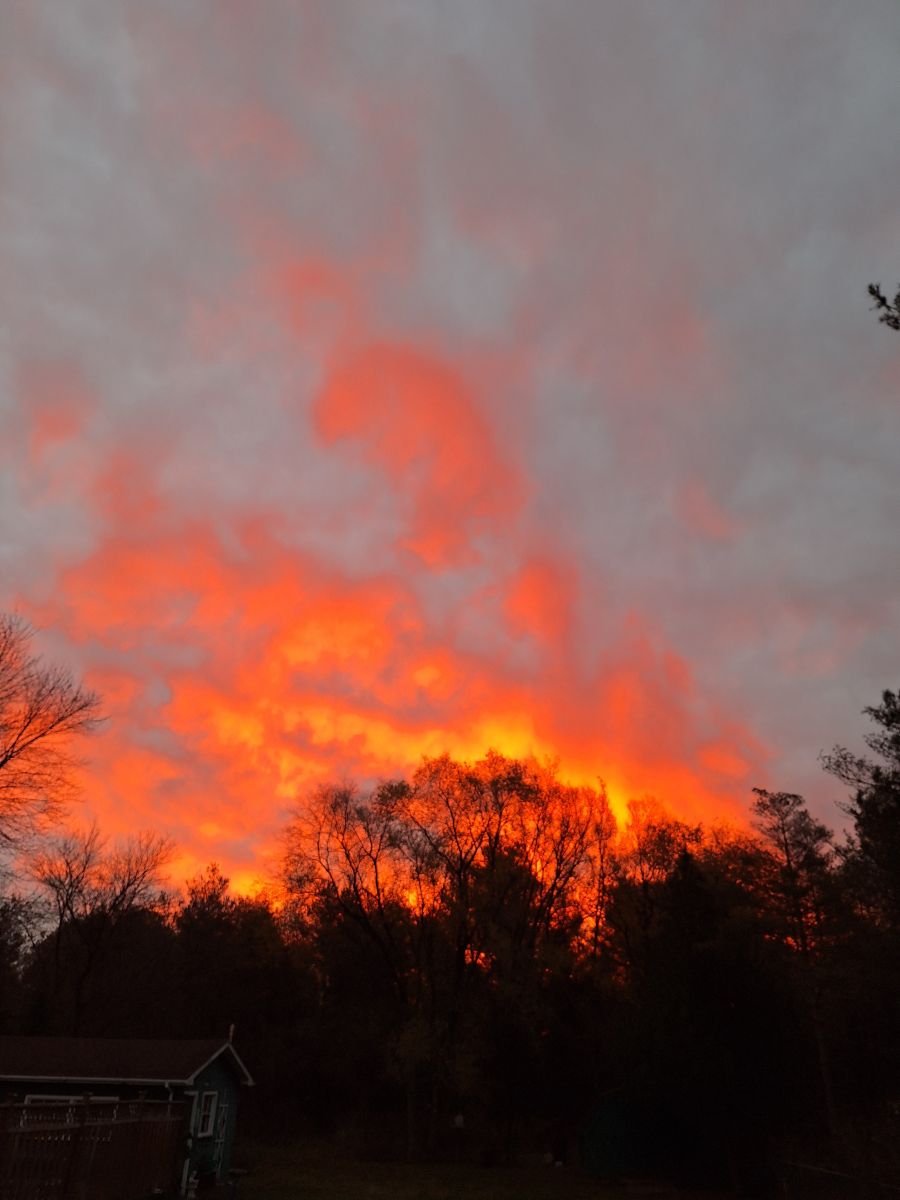 Photographer ccdn0630, Weather Photos in Barrie - Weawow