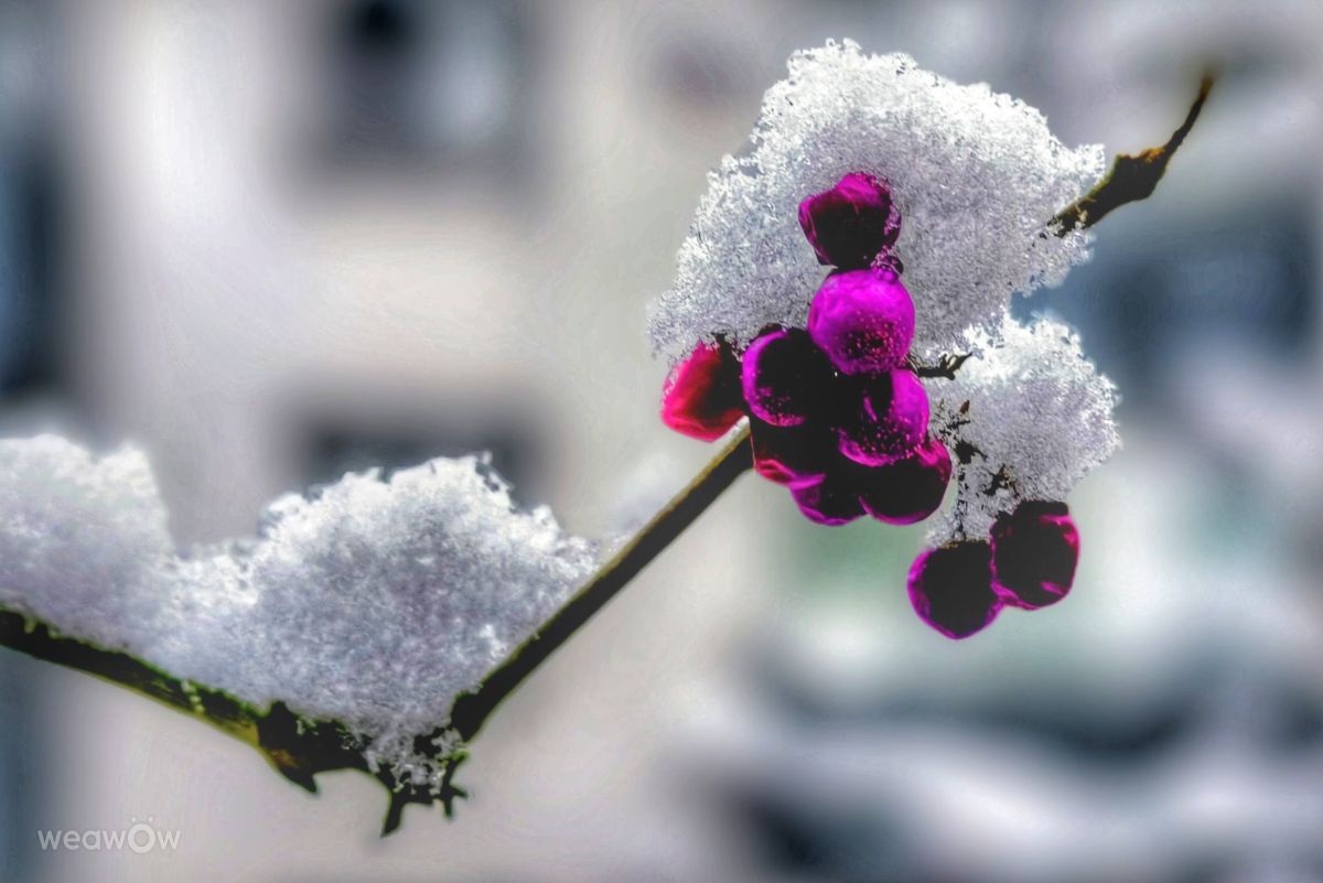 Weather Photos in Wellinghofen. Weather forecasts with beautiful photos by Gweiland