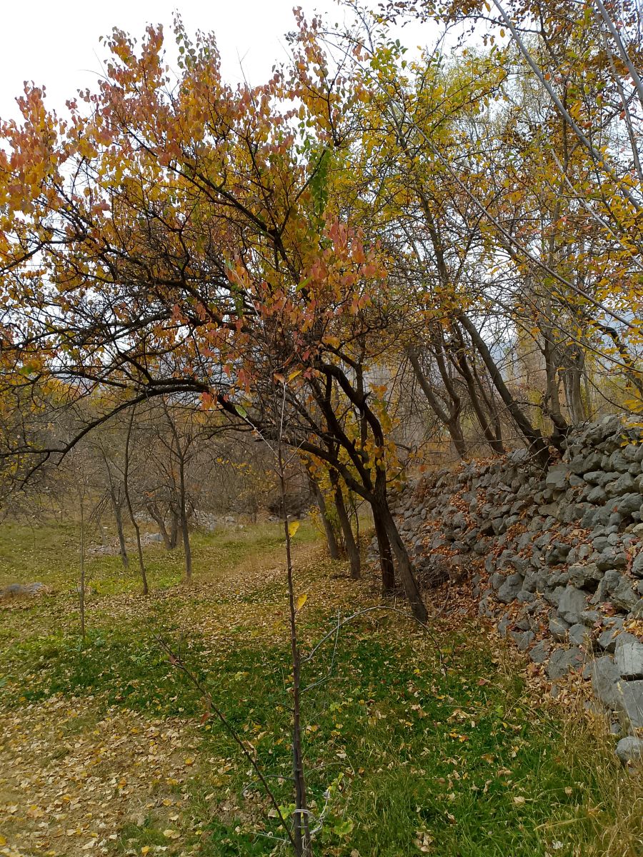 Weather Photos in Tajikistan. Weather forecasts with beautiful photos by Fars