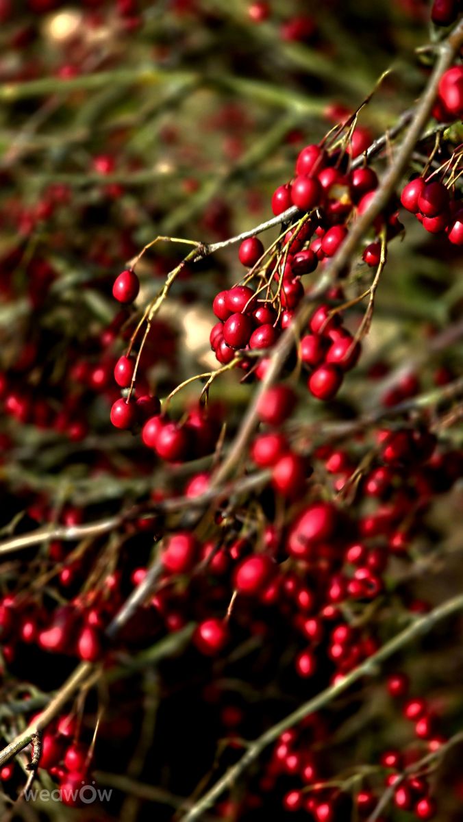 Weather Photos in Bavaria. Weather forecasts with beautiful photos by Hela