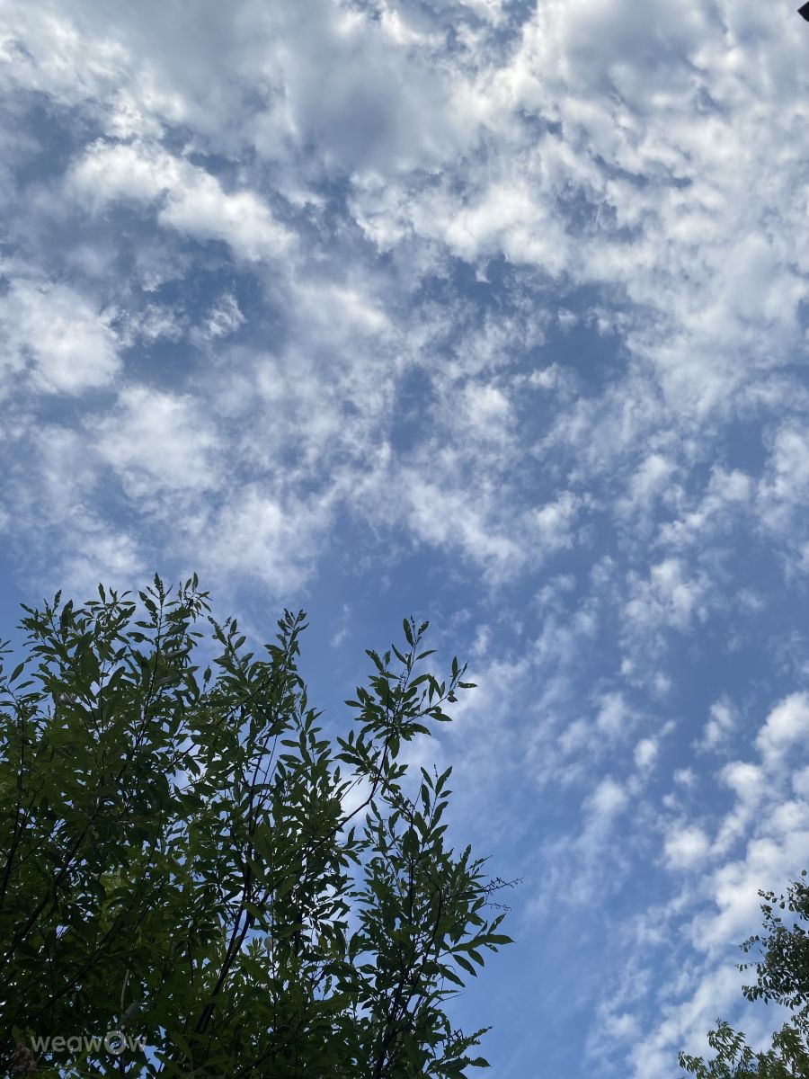 Wetter Photos le Plateau. Wettervorhersagen mit schönen Fotos von Lulu5523