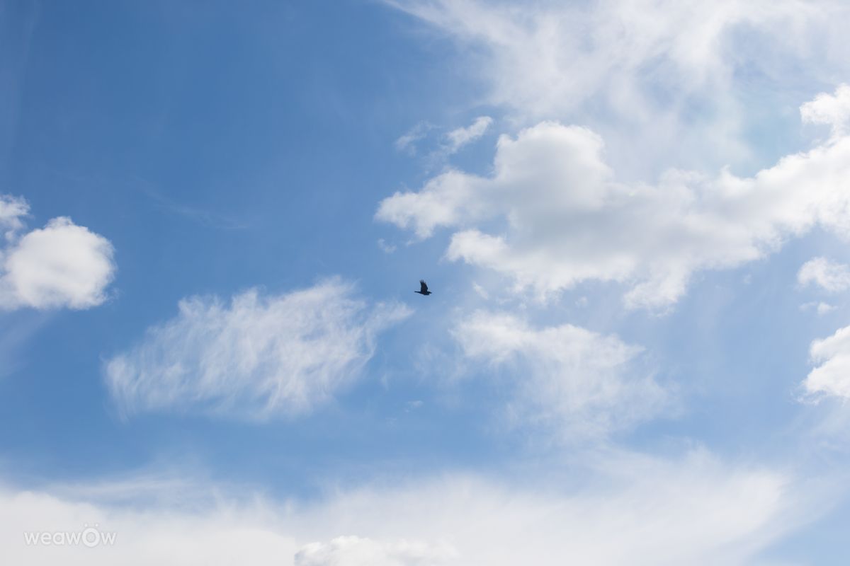 Photographer Amiras, Weather Photos in Sarajevo - Weawow