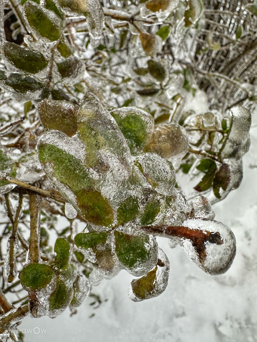 Fotos do tempo em Irpin. Previsões do tempo com lindas fotos de Інна