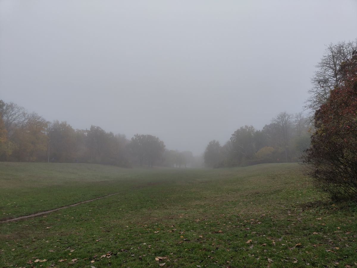 Photographer Gaucho, Weather Photos in Berlin - Weawow