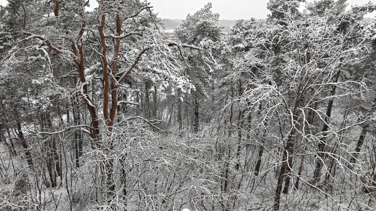 Фотографии Погоды в Швеция. Прогнозы погоды с чудесными фотографиями, сделанными Rezwan01