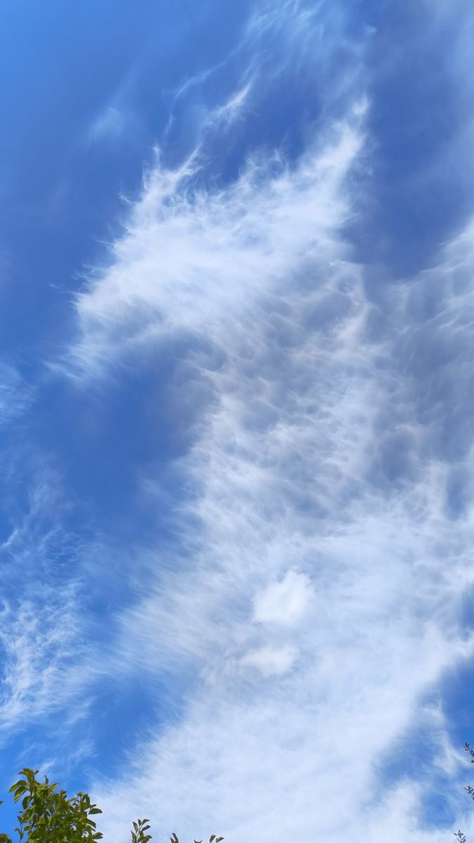 Weather Photos in Liski. Weather forecasts with beautiful photos by Liski_SB