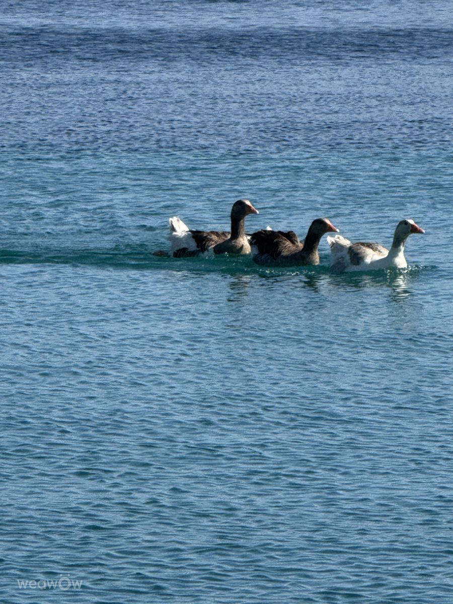 Fotos sobre el clima en Bodrum. Pronósticos del tiempo con hermosas fotos de mas777777