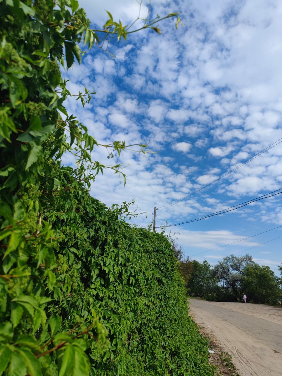 Weather Photos in Luhansk. Weather forecasts with beautiful photos by Юлия Бойко
