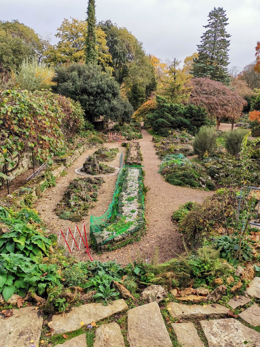 摄影师 NikolayPaunchev，13 Boulevard de l'Hôpital的天气照片 - Weawow